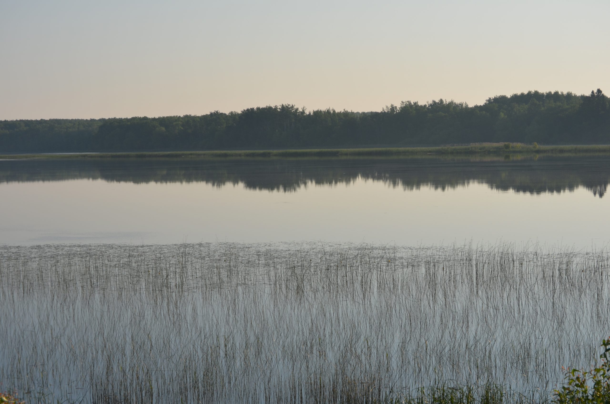 Rainy River Fishing is Picking Up - Lake of the Woods