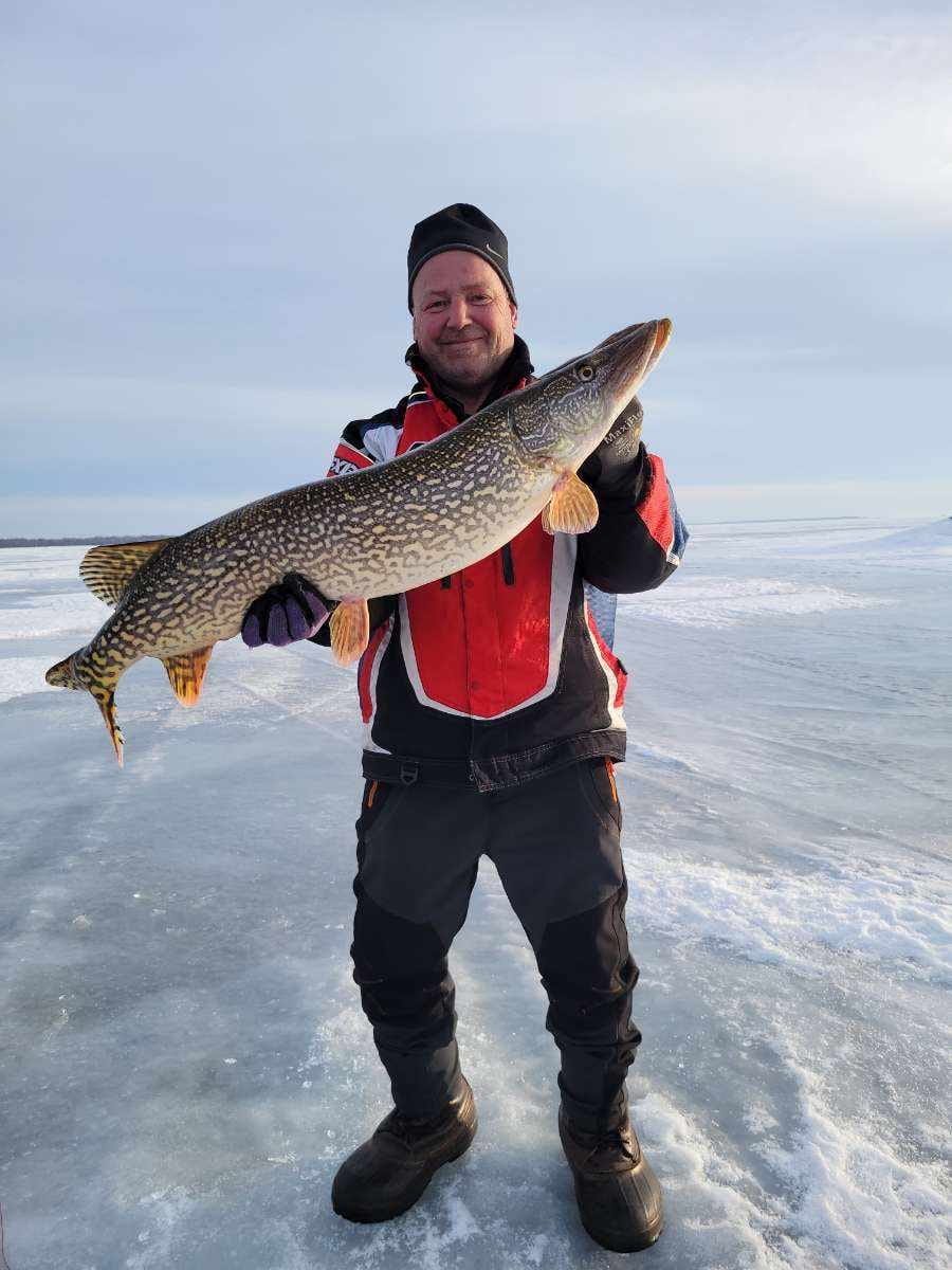 Northern Pike On the Scene - Lake of the Woods