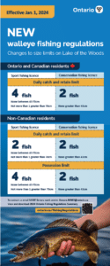 New 2024 walleye regulations Ontario side of Lake of the Woods