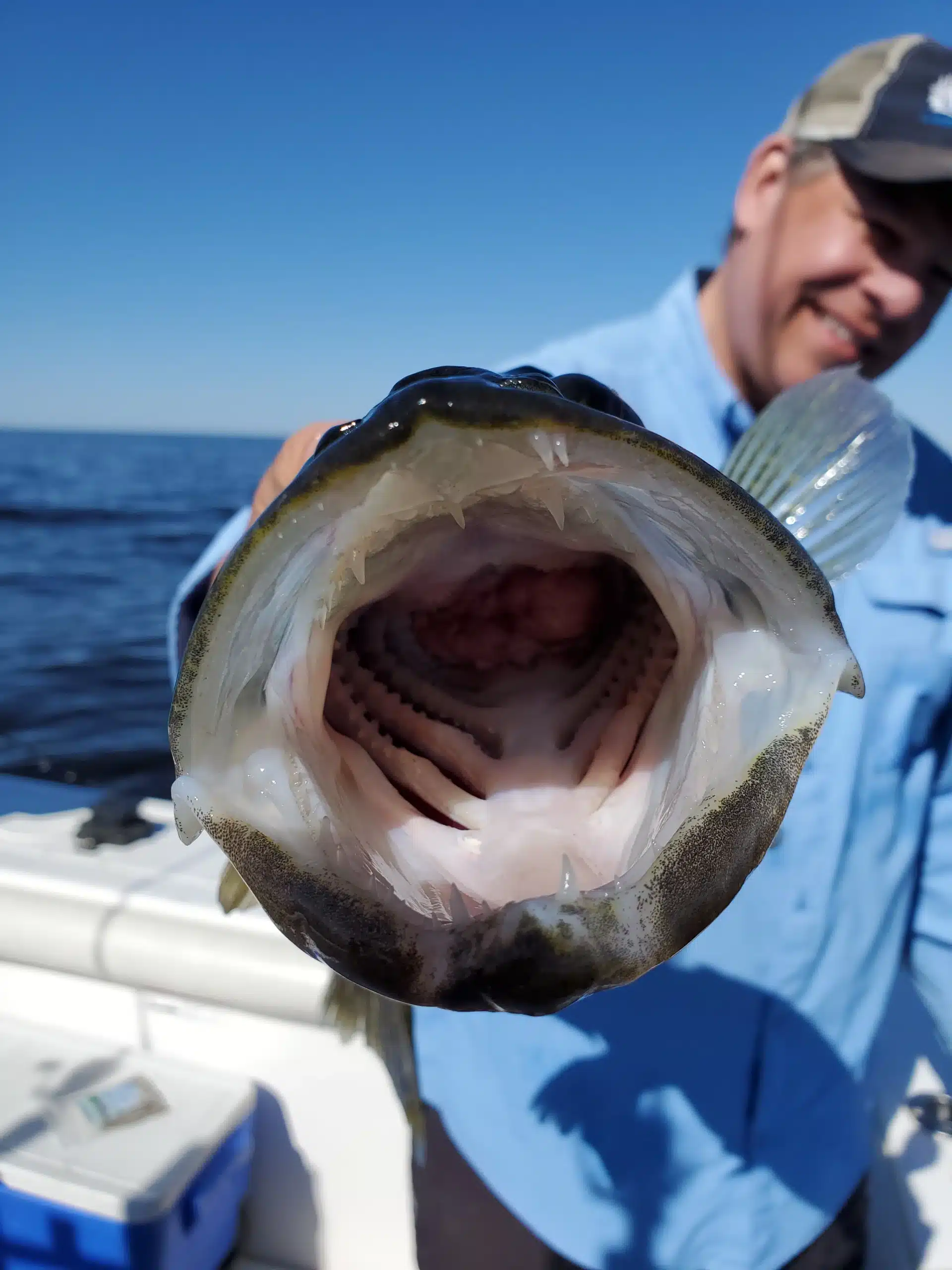 Joe Henry, Walleye, charter boat (6)