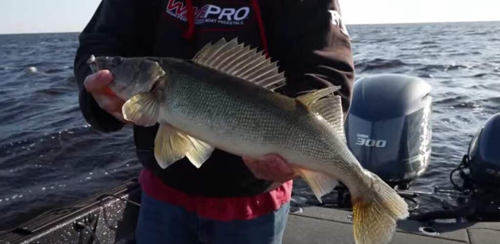 Working The Jig Bite For Walleyes On Fisherman's Digest Tv - Lake Of 