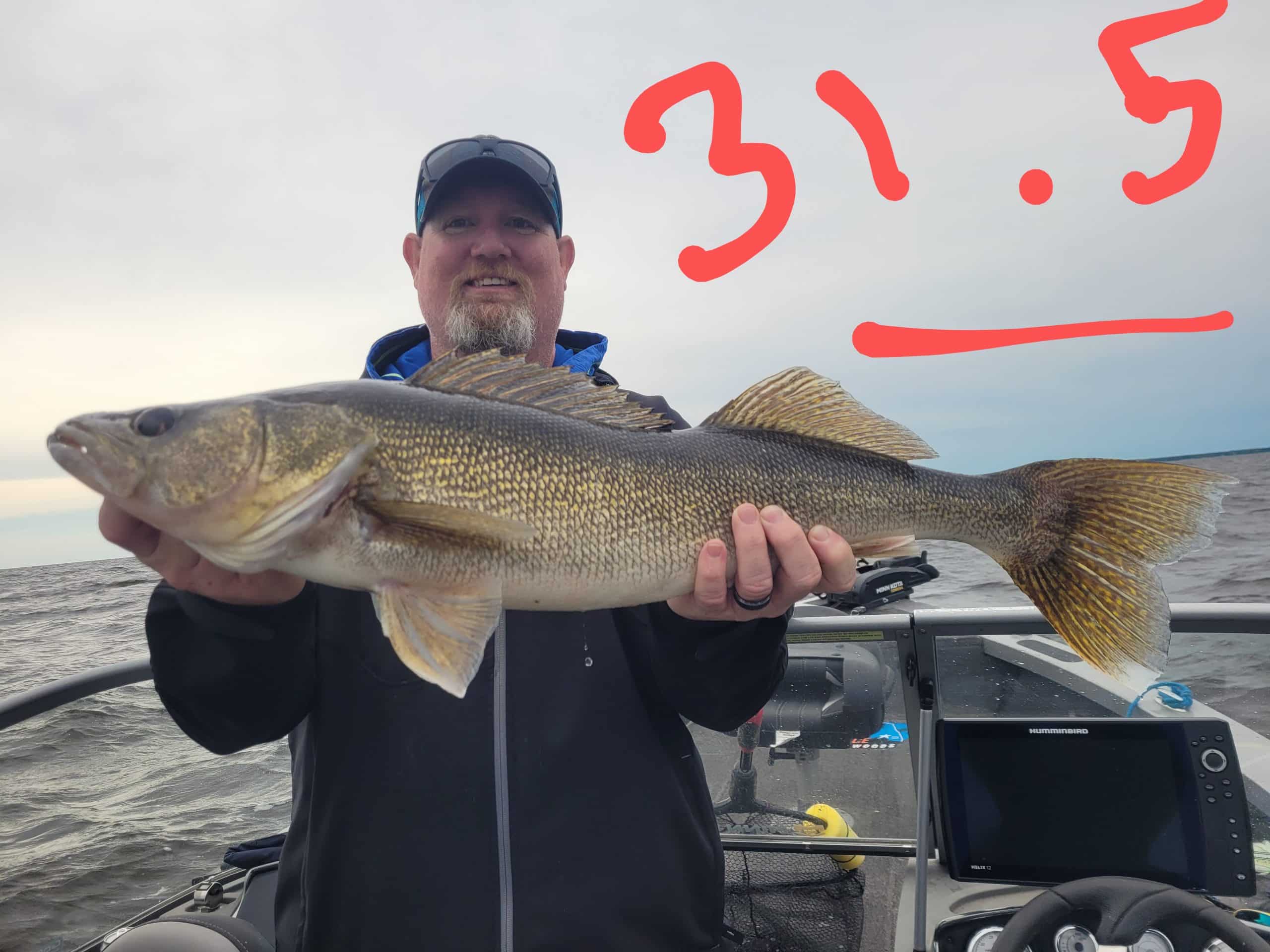 Walleye Fishing Lake of the Woods, MN