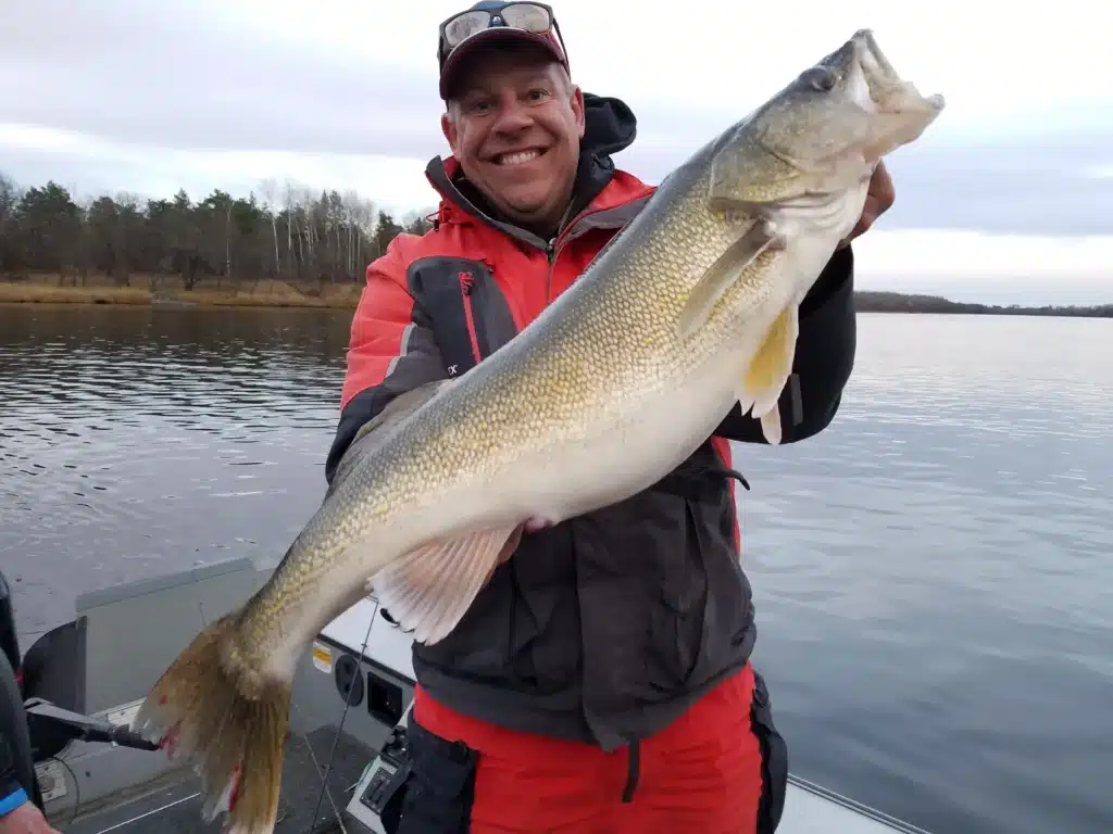 Joe Henry, fall walleye on the Rainy River