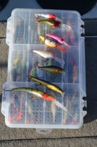 Crankbaits for Lake of the Woods