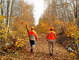 grouse hunters walking