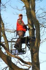 hunter in tree stand