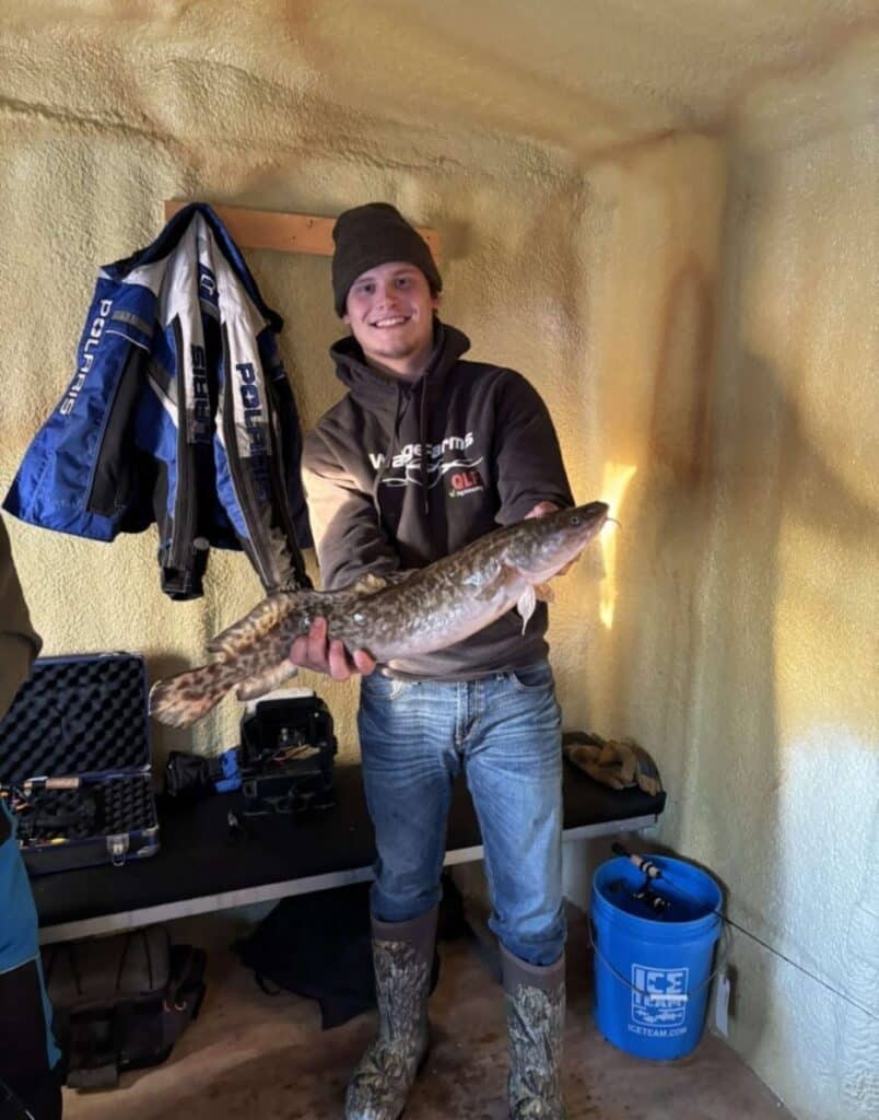 Eelpout in fish house Wigwam Resort 121224