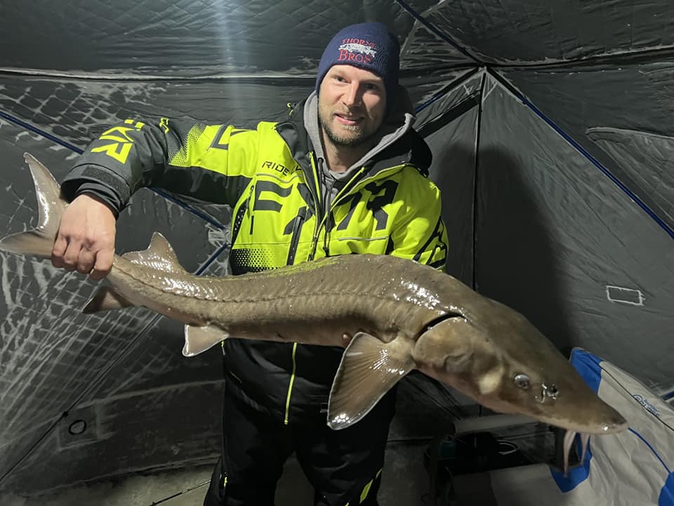 Rainy River sturgeon through the ice at Royal Dutchman Resort