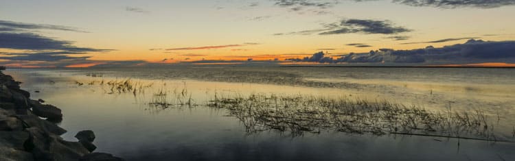 MN DNR Lake of the Woods Fisheries Management Plan