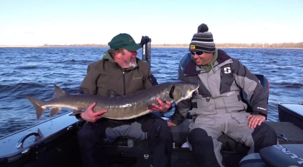 Northland Outdoors, big sturgeon on the Rainy River