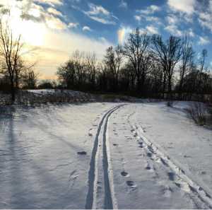 cross country ski trails