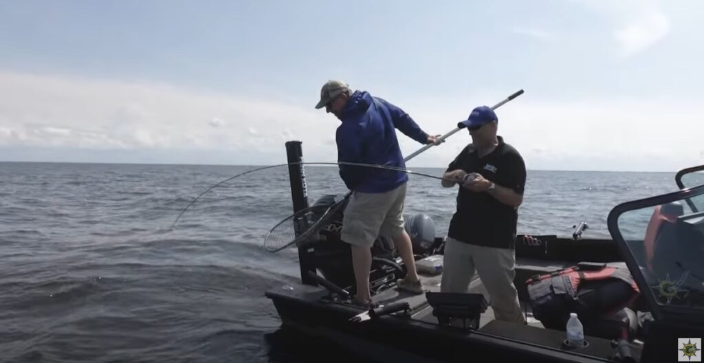 Joe Henry netting a walleye caught pulling spinners for Jon Thelen of Destination Fish