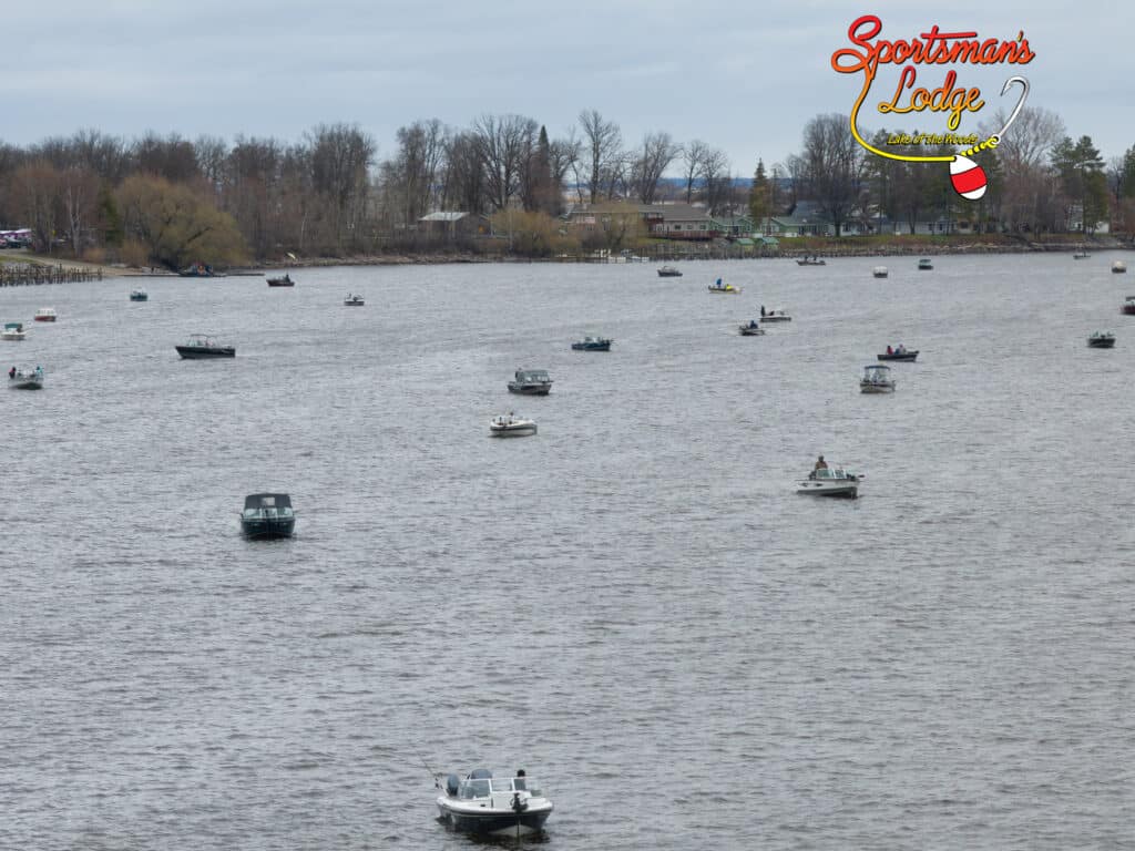 Sportsman's Lodge Sturgeon Tournaments, boats on the Rainy River
