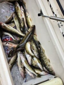 fishing