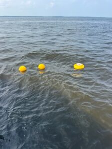 wave buoys on Lake of the Woods lakeofthewoodsmn.com/wavebuoys