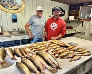 walleyes and jumbo perch fill a cleaning table at a resort on the south shore of lake of the woods mn