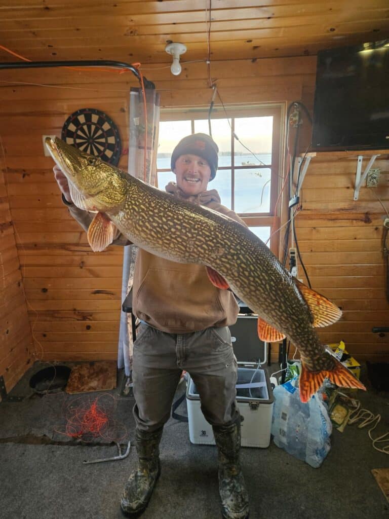 monster pike caught on lake of the woods in an ice house while ice fishing. a great fishing report