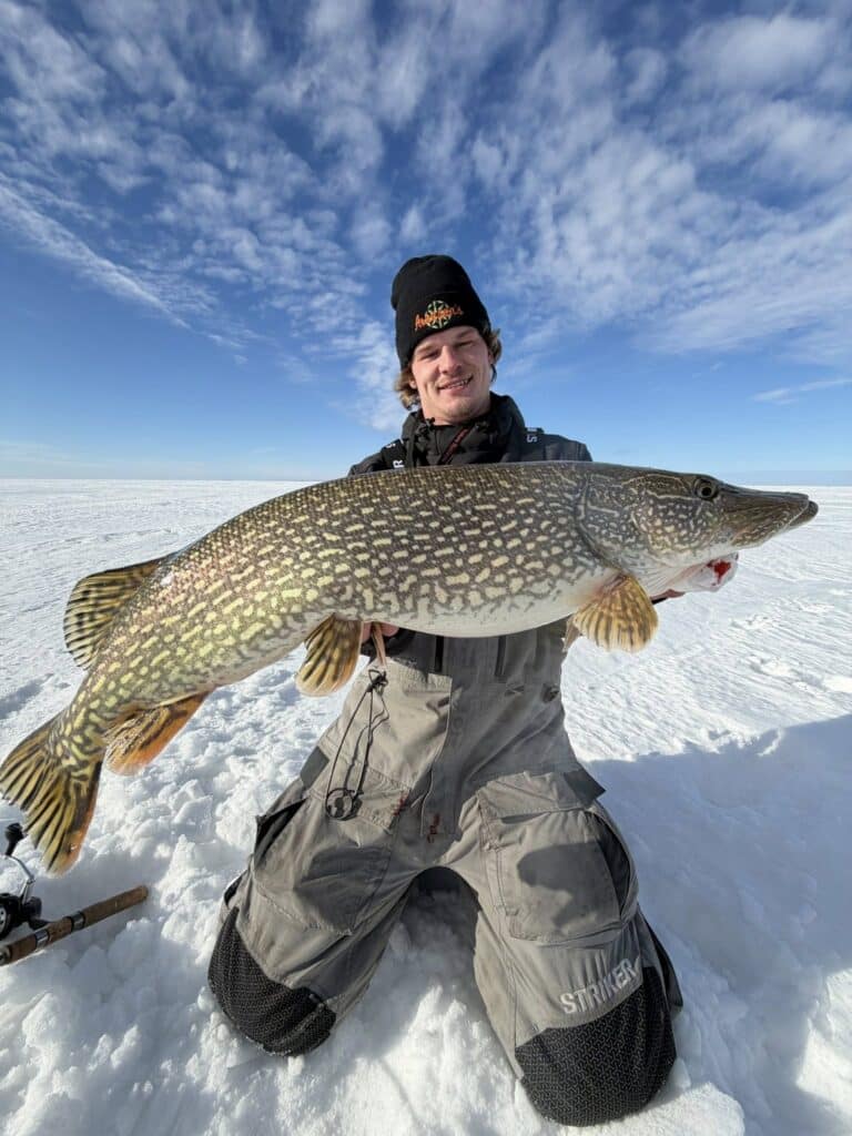 fishing report big pike caught at lake of the woods south shore walleye northwest angle