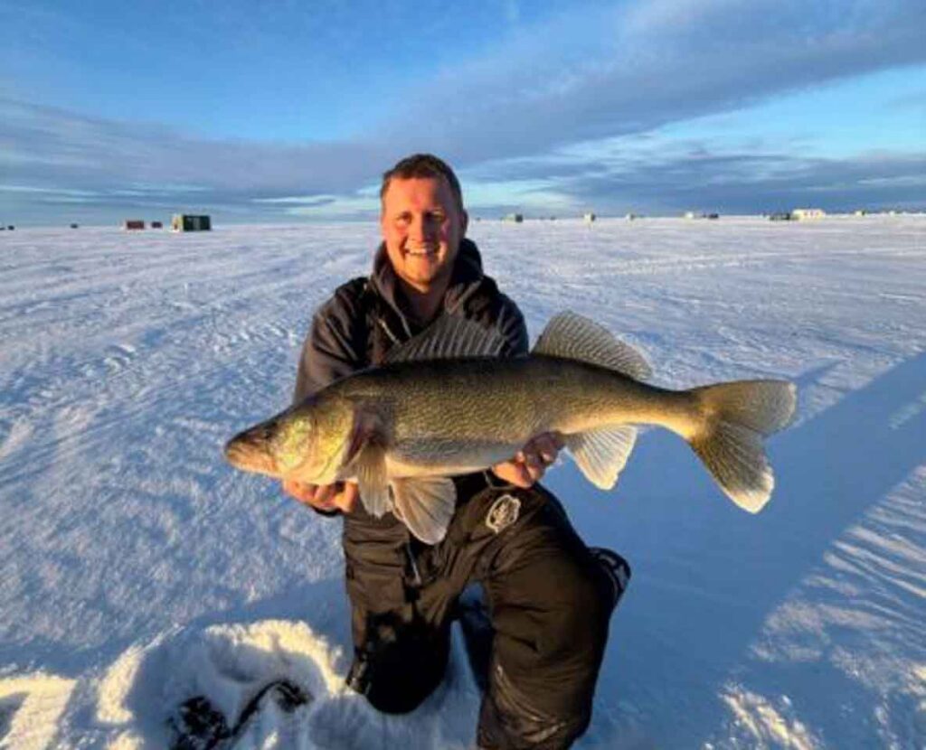 A man kneels on the ice while holding a trophy walleye he caught while ice fishing on Lake of the Woods MN
