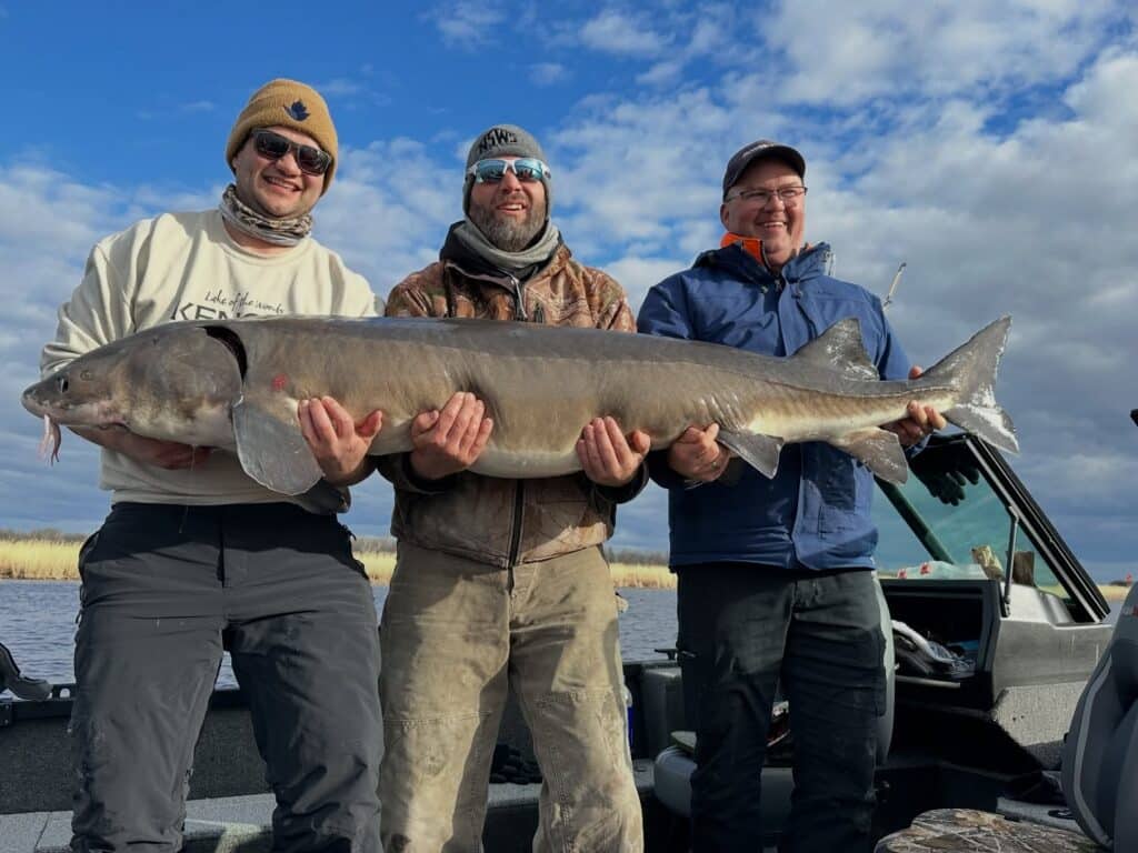 fishing report lake of the woods nw angle rainy river south shore sturgeon