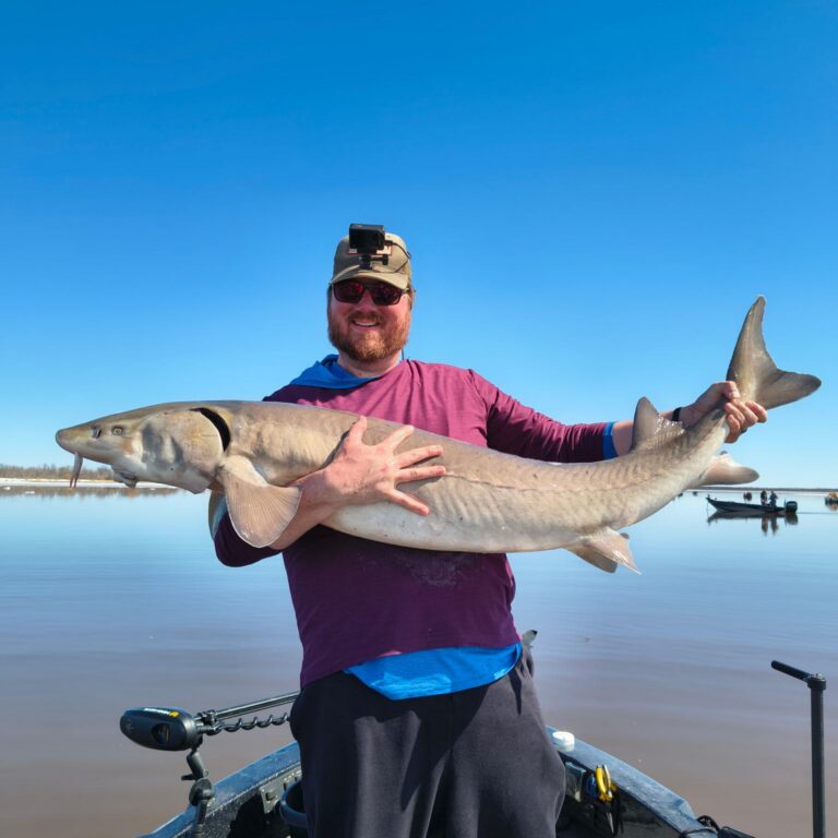 fishing report lake of the woods nw angle rainy river south shore sturgeon