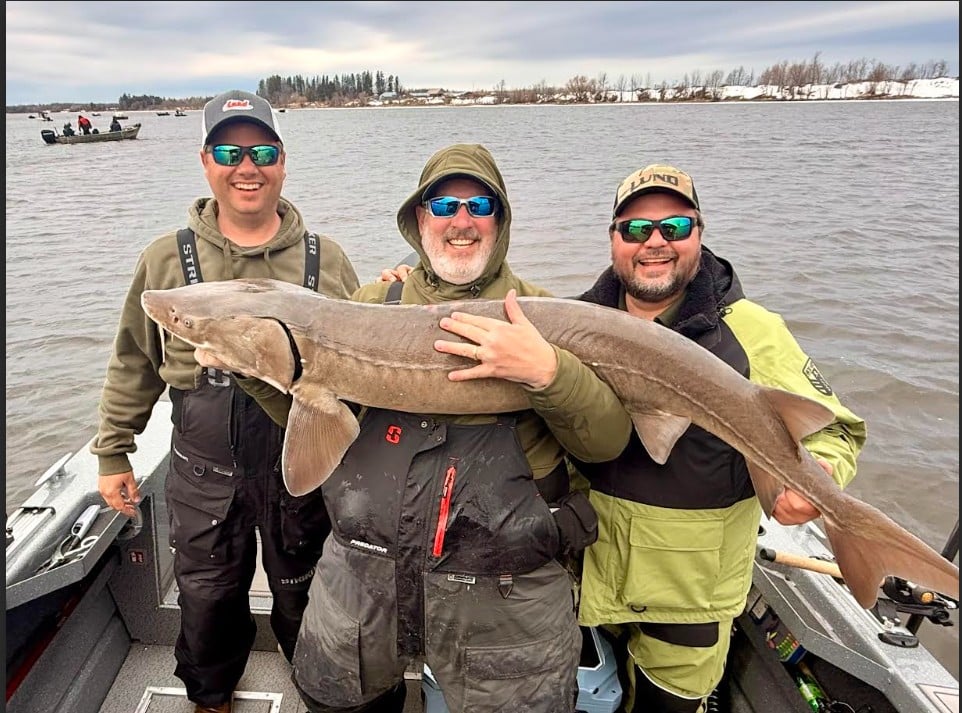 fishing report lake of the woods south shore rainy river sturgeon