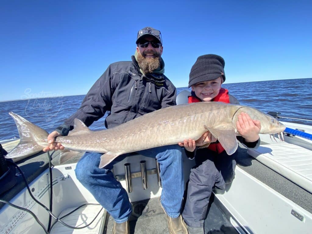 fishing report lake of the woods south shore nw angle rainy river stureon
