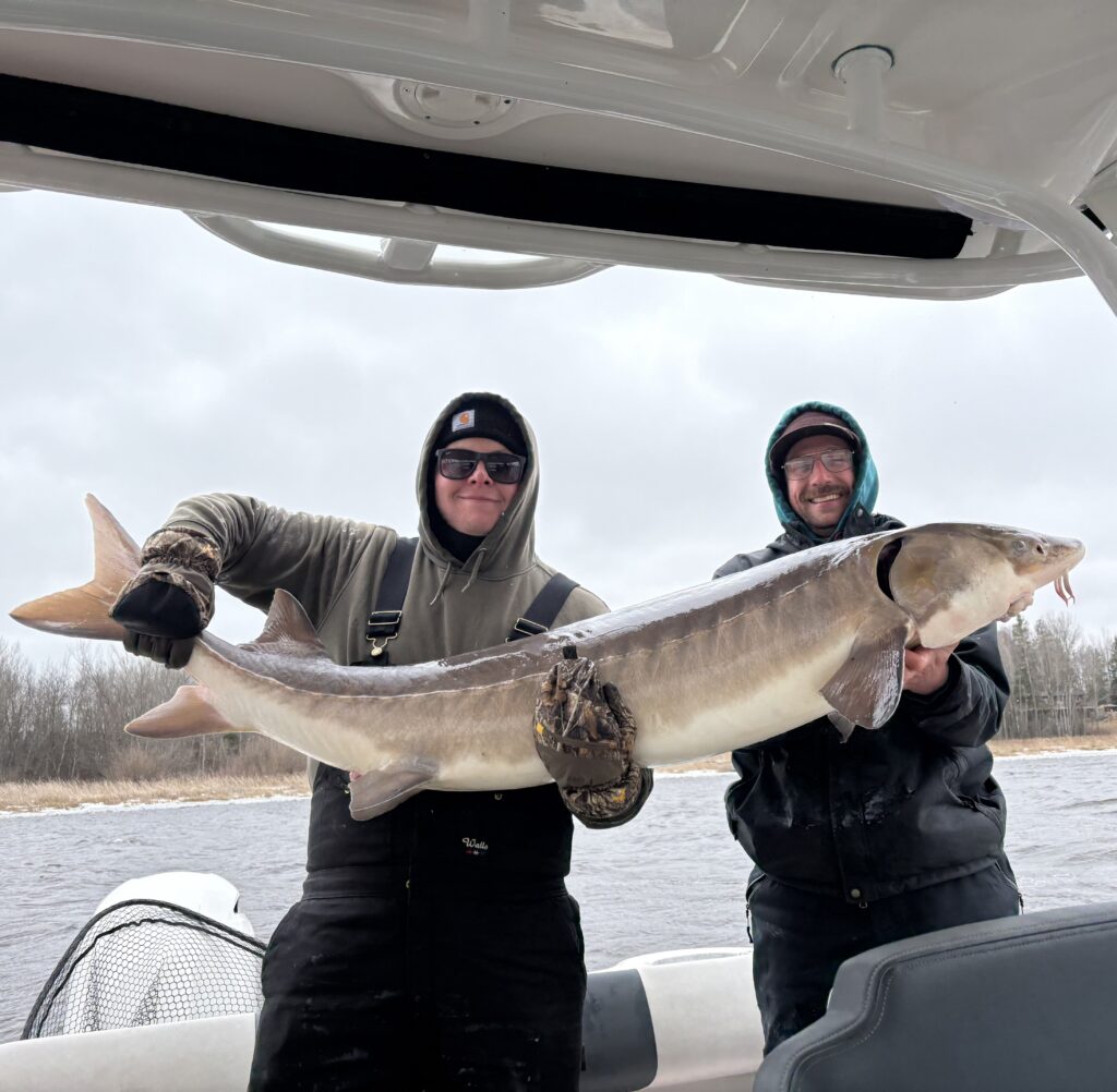 fishing report lake of the woods south shore rainy river sturgeon