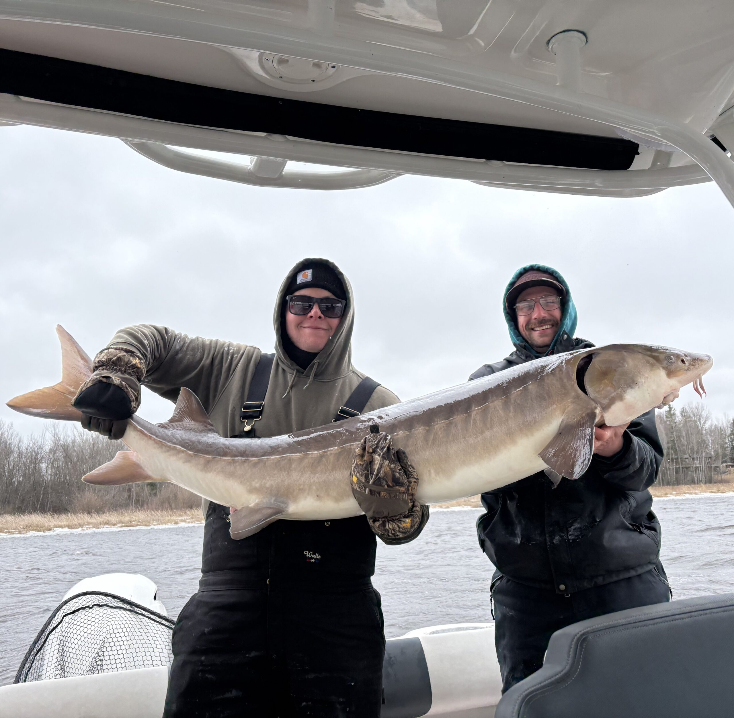fishing report lake of the woods south shore rainy river sturgeon