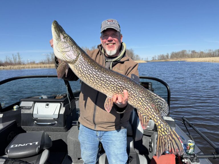 fishing report lake of the woods rainy river nw angle south shore walleye northern