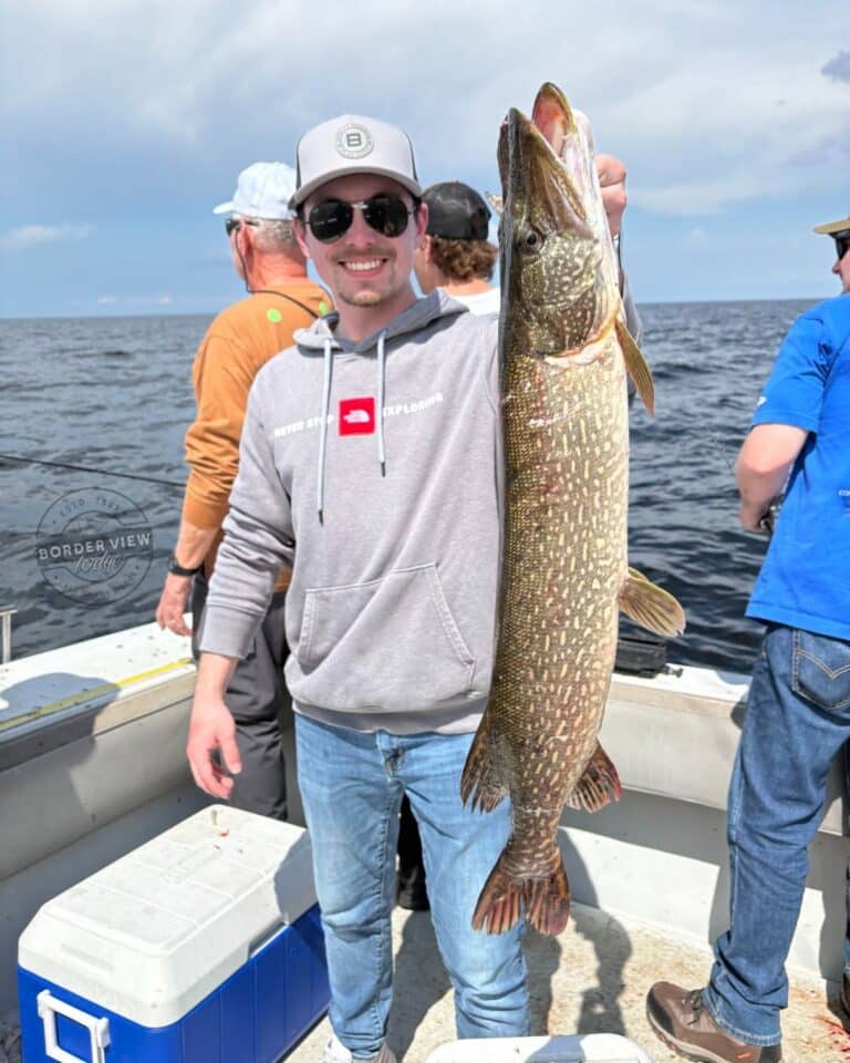 lake of the woods south shore rainy river nw angle walleye northern