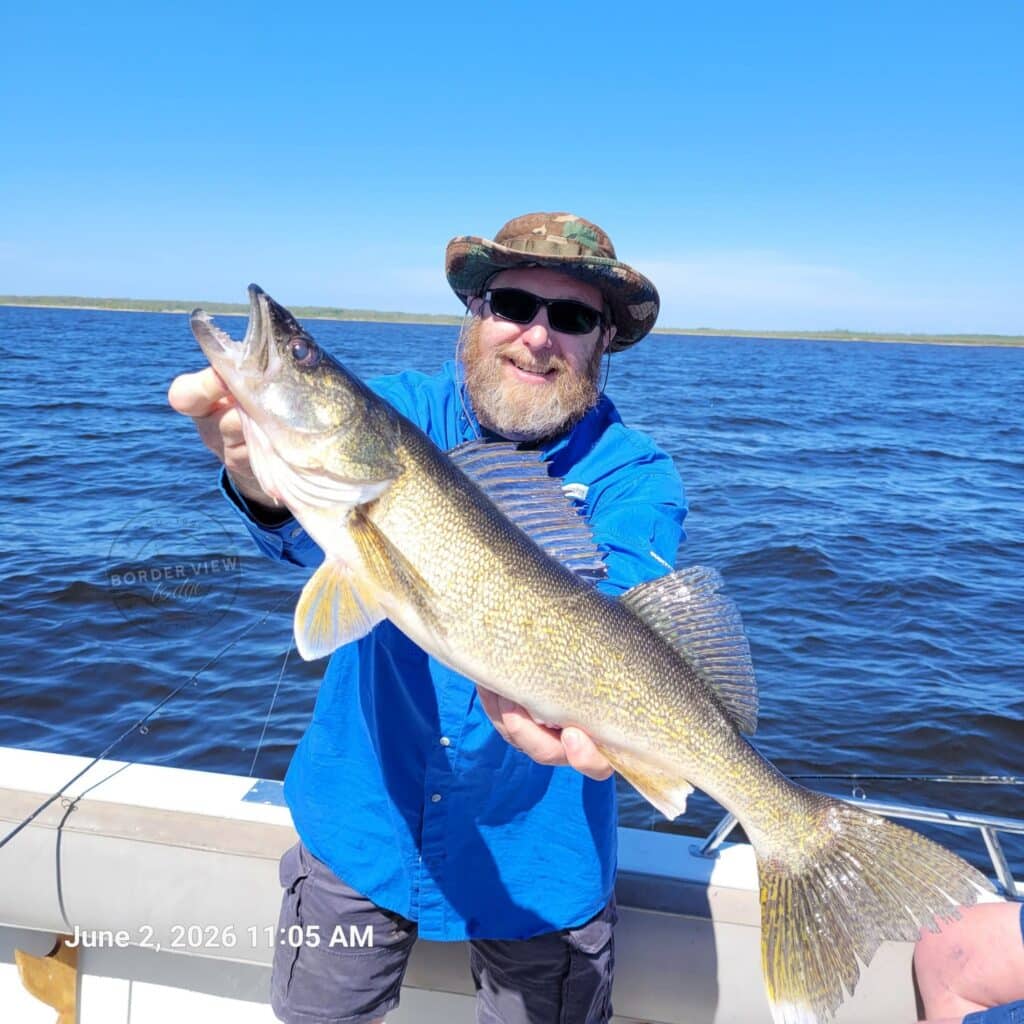 lake of the woods south shore rainy river nw angle walleye