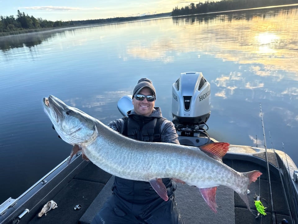 Pete Blicharz with a 48 inch musky caught during the 2026 PMTT Championship, NW Angle, Lake of the Woods MN