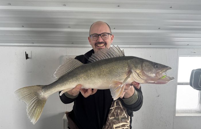 fishing report lake of the woods 29 inch walleye