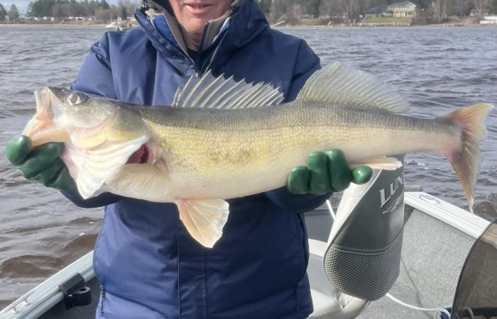 fishing report lake of the woods south shore nw angle rainy river walleye
