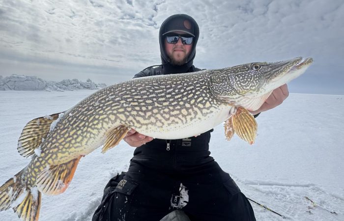 41 inch pike for guide Mason_Arnesens Rocky Point_031425