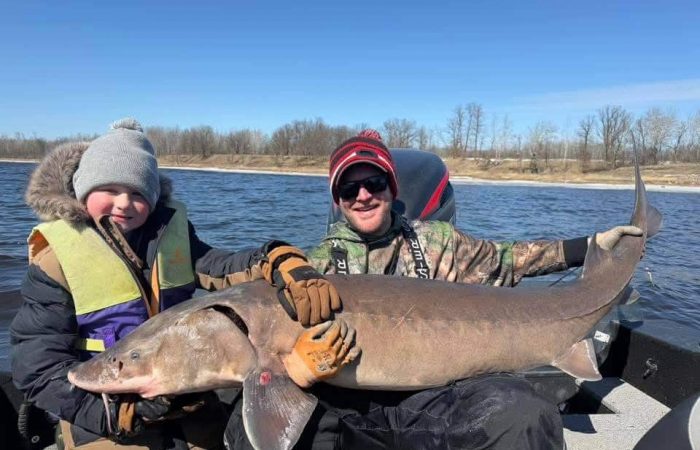 fishing report south shore lake of the woods sturgeon rainy river