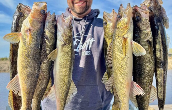 Andrew Kraft with walleyes_Ken Mar Ke Resort_051125