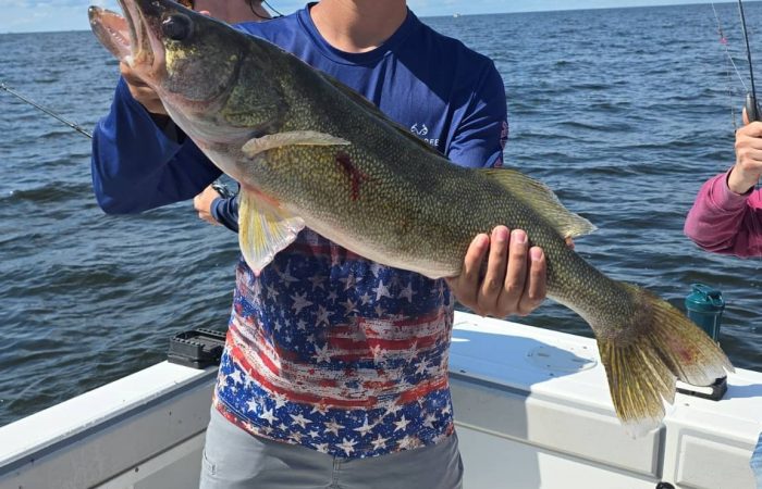 lake of the woods south shore rainy river nw angle walleye