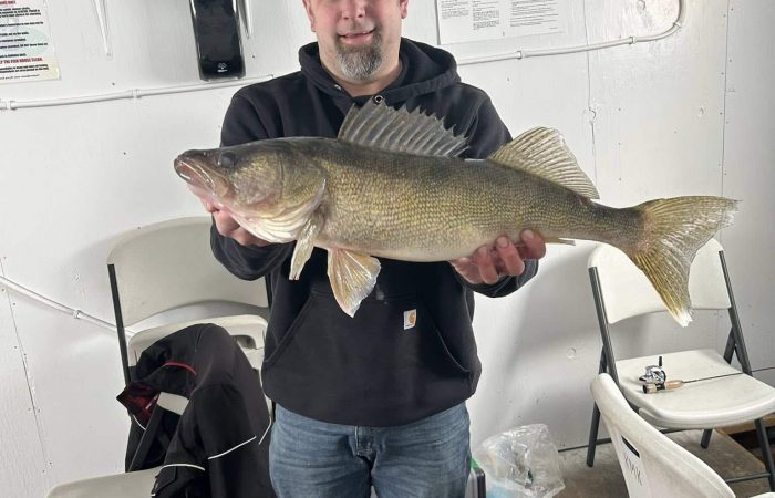 fishing report big walleye south shore lake of the woods ice fishing