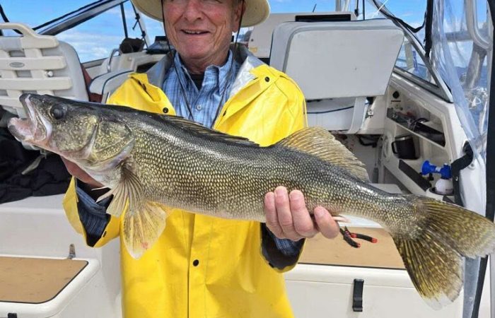 lake of the woods south shore rainy river nw angle walleye