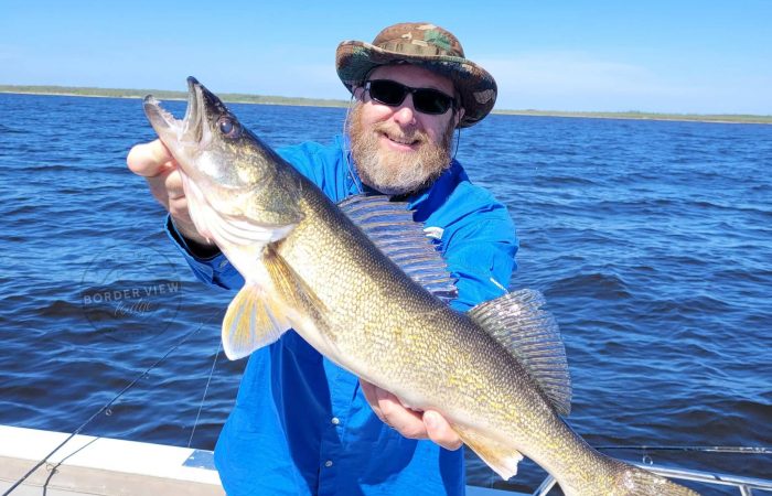 lake of the woods south shore rainy river nw angle walleye