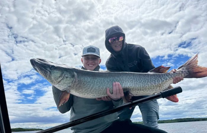 lake of the woods nw angle south shore rainy river muskie walleye