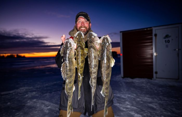 Bret Amundson_limit of walleyes_Cyruss Flag Island Resort_010825