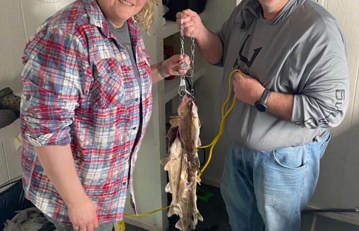 fishing report south shore walleye stringer rainy river