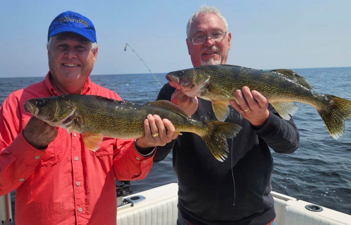 double header walleyes caught at Arnesen's Rocky Point in Baudette MN