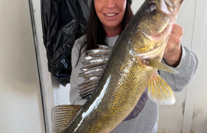 fishing report south shore female angler walleye lake of the woods