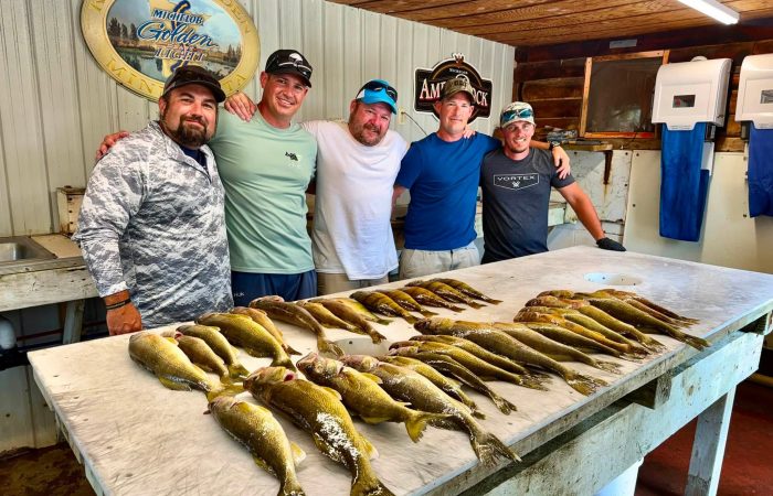 lake of the woods fish walleye nw angle south shore rainy river