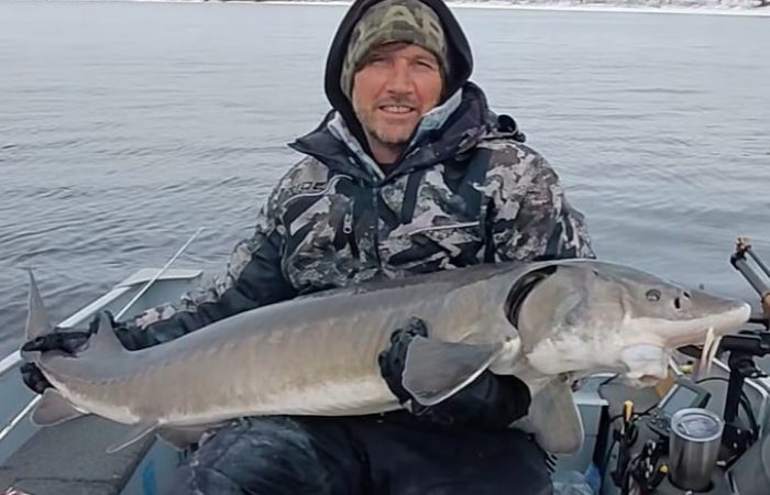 fishing report lake of the woods south shore rainy river sturgeon