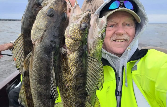 Limit of walleyes_NCOR Guide Service_110924